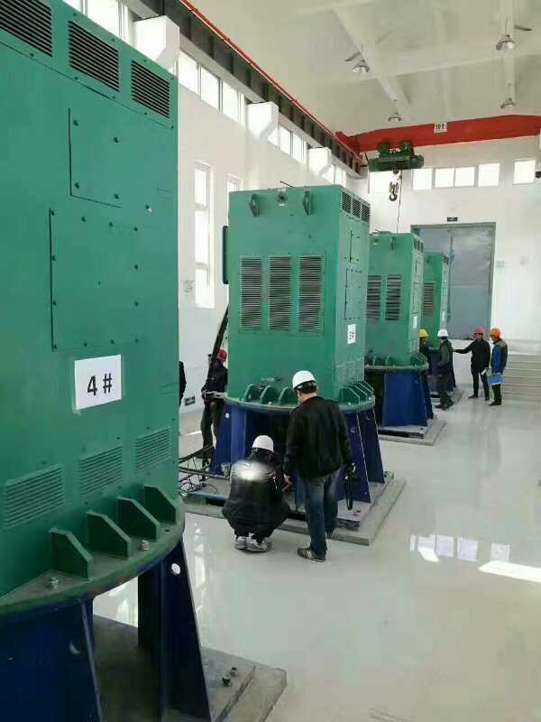 YKK5004-8/560KW某污水处理厂使用我厂的立式高压电机安装现场