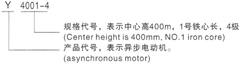 西安泰富西玛Y系列(H355-1000)高压YKK5004-8/560KW三相异步电机型号说明